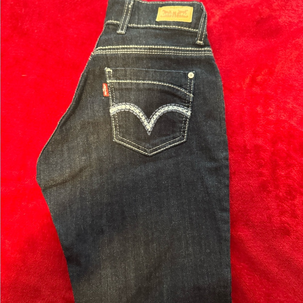 Levi’s 529 Curvy Skinny Jeans